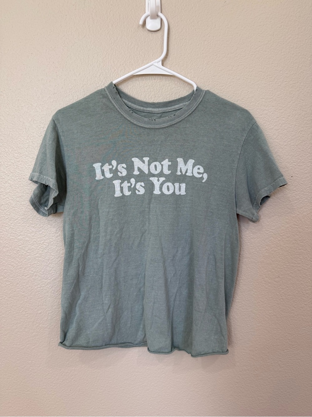 Graphic Short Sleeve Tee - Sage Green "It's Not Me, It's You"
